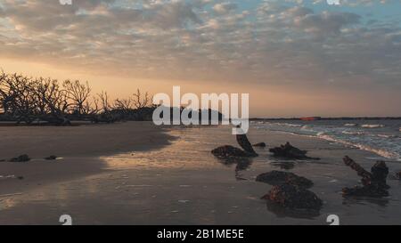 Die Küste mit farbenfrohem Sonnenuntergang und Meer am Treibholzstrand, Jekyll Island, Georgia. Stockfoto