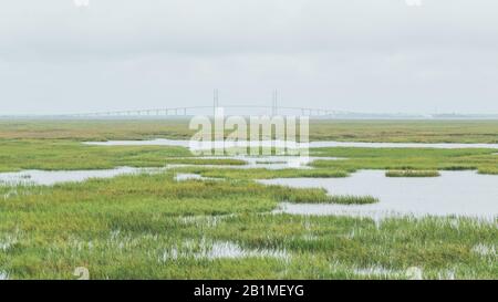 Sidney Lanier Hängebrücke von Brunswick, Georgia an einem übergiebelten Moody Day mit Blick auf die Salzwiesen von Jekyll Island Stockfoto