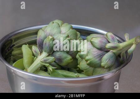 Frisch gepflückte Schnapperbsen und Globe Artischocken aus einem Garten im Hinterhof, in einer Edelstahlschale, isoliert auf hellbraunem Grund. Stockfoto