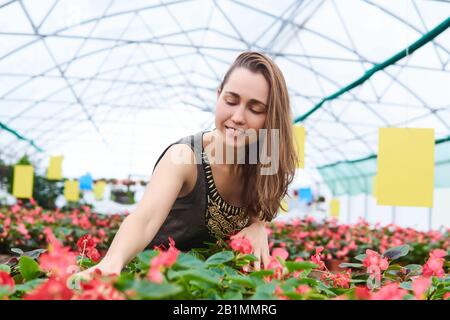 Junge Frau in einem Kleid berührt liebevoll Blumen in einem Gewächshaus Stockfoto