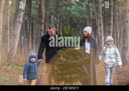 Glückliche Familie in warmer Kleidung, die Weihnachts-Tannenbaum zusammen auf dem Weg in den Wald trägt Stockfoto