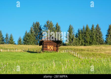 Alpenhütte in den Berner Alpen/Schweiz Stockfoto