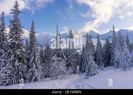 Große Berggipfel im Licht der untergehenden Sonne. Gasienicowa-Tal. Tatry. Stockfoto