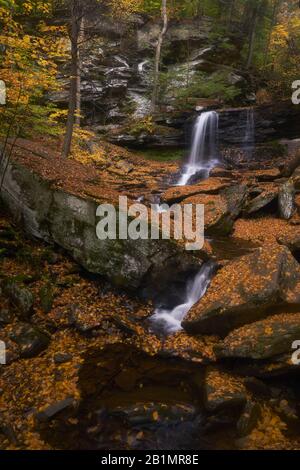 Herbstansicht von B. Reynolds Fall in Ricketts Glen State Park, Pennsylvania Stockfoto