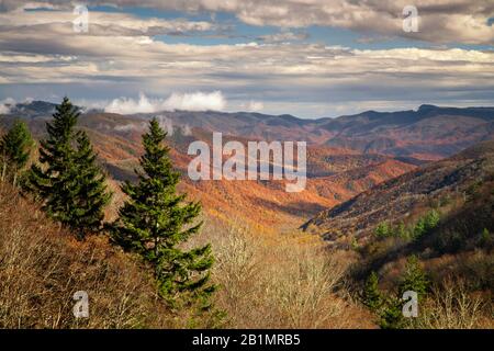 Herbstansicht von Newfound Gap im Great Smoky Mountains National Park, Tennessee Stockfoto