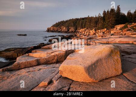 Otter Felsen bei Sonnenaufgang in Acadia National Park in Maine Stockfoto