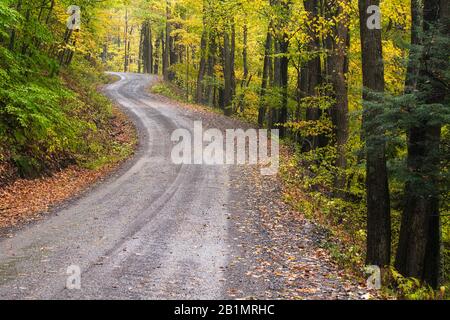 Straße windet sich durch Herbstwald in der Nähe von Laneville, Tucker County, West Virginia Stockfoto