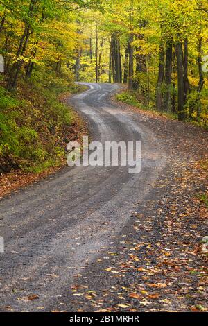 Straße windet sich durch Herbstwald in der Nähe von Laneville, Tucker County, West Virginia Stockfoto