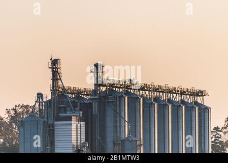 Landwirtschaftliche Installation von Silbersilos zum Trocknen von Saatgut und Mais. Der Körnerelevator, der für die Lagerung verwendet wird, wird von der warmen untergehenden Sonne beleuchtet. Stockfoto