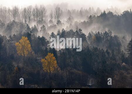 Spätherbst. Nationalpark Ordesa. Huesca, Spanien. Stockfoto