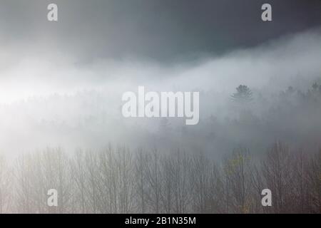 Spätherbst. Nationalpark Ordesa. Huesca, Spanien. Stockfoto