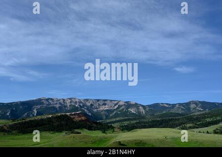 Blick über die Wildnis von Wyoming im Sommer Stockfoto