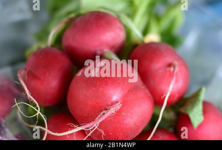 Viele rote Radieschen auf dem Markt. Vollbild mit rotem Rettich. Food-Konzept baner, Poster. Stockfoto