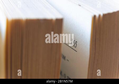 Makrobild der gelben Bilder des alten, großen Buches auf Seite 165 Stockfoto