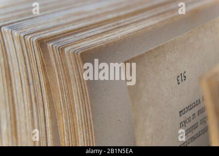 Makrobild gelber Bilder alter, großer Bücher auf Seite 513 Stockfoto
