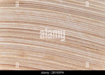 Makrobild gelber Bilder von altem Buch mit vielen Seiten Stockfoto
