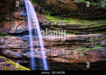 Der Sipsey River und ein Zufluss strömten an einem frühen Frühlingnachmittag wunderschön. Der Sipsey River fließt durch den Bankhead National Forest. Stockfoto