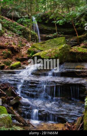 Der Sipsey River und ein Zufluss strömten an einem frühen Frühlingnachmittag wunderschön. Der Sipsey River fließt durch den Bankhead National Forest. Stockfoto