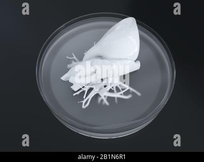 Bioprint des Herzens, 3D-Druck des Herzens, Konzept der Zukunft in der Medizin - 3D-Rendering Stockfoto