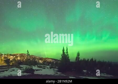 Polarlicht in der Nähe von Trondheim, Norwegen, Trondheim, Trondheimsfjord Stockfoto