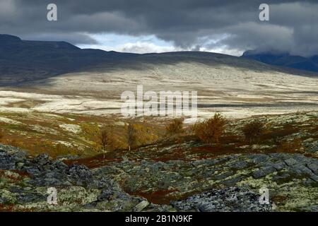 Herbstlandschaft im Rondane National Park, Norwegen, Rondane National Park Stockfoto