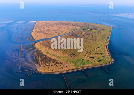 Luftbild Hallig Suederoog mit Marschen und Terp, Deutschland, Schleswig-Holstein, Nationalpark Schleswig-Holsteinisches Wattenmeer, Hallig Suederoog Stockfoto