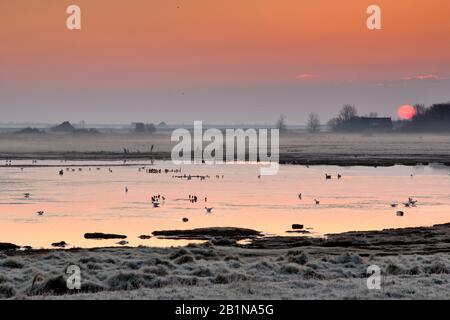 Sonnenaufgang auf Texel, Niederlande, Texel, De Petten Stockfoto