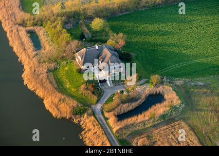 Friesisches Haus mit Reetdach auf Insel Pellworm, Luftbild, Deutschland, Schleswig-Holstein, Nordfriesland Stockfoto