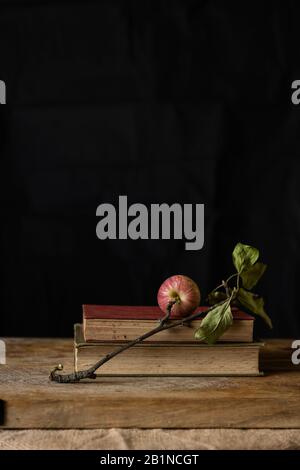 Ein apfel auf einem Ast, der auf einem Stapel geschlossener Bücher auf einem Holzbrett platziert ist. Standbild mit schwarzem Hintergrund. Stockfoto