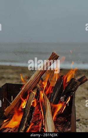 Helle starke Flamme, ein brennender Baum im Feuer mit schwarzem Rauch auf Sand- und Meeresgrund Stockfoto