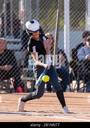 Softballspielerin der High School, die gute Kontakte macht und gleichzeitig den Ball im Auge behält. Stockfoto