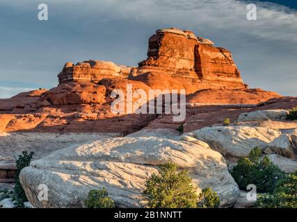 Felsformationen in der Nähe des Squaw Flat Campground bei Sonnenaufgang, Der Needles Sektion im Canyonlands National Park, Utah, USA Stockfoto
