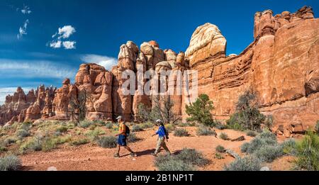 Felsformationen am Chesler Park Loop Trail, Dem Needles Abschnitt im Canyonlands National Park, Utah, USA Stockfoto