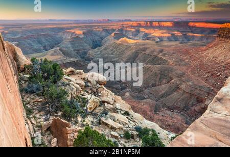 Goosenecks von San Juan River, Monument Valley Buttes in weiter Ferne, bei Sonnenaufgang, Blick von Muley Point auf Cedar Mesa, Utah, USA Stockfoto