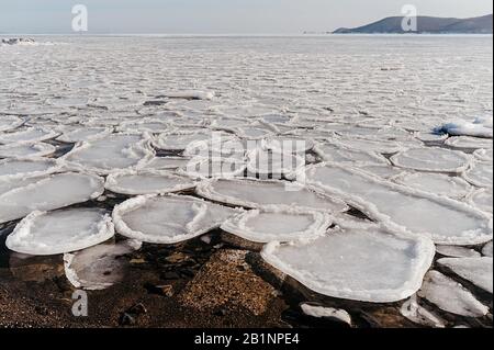 Kaltes Meer, bedeckt mit ungewöhnlichen kleinen runden Eiszapfen, schmelzendem Eis auf dem Meer, die scharfe Kante des Eises wird von fließendem Wasser begrenzt Stockfoto