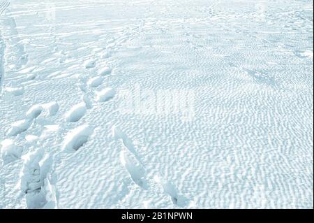 Tiefe Spuren in reinweiß flauschigem Schnee, ungewöhnliche Schneedecke in weißer Farbe, bestehend aus flauschigem Schnee und kristallisiertem Eis auf der Oberseite Stockfoto