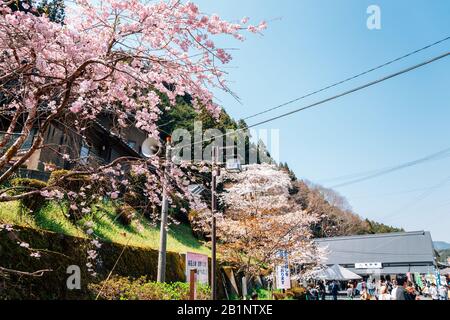 Nara, Japan - 7. April 2019: Bahnhof Yoshino mit pinkfarbenen Kirschblüten Stockfoto