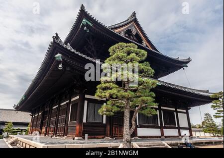 Ein weiter Blick auf die Tofuku-jin Haupthalle, einen Bhuddisten-Tempel in Kyoto, Japan Stockfoto