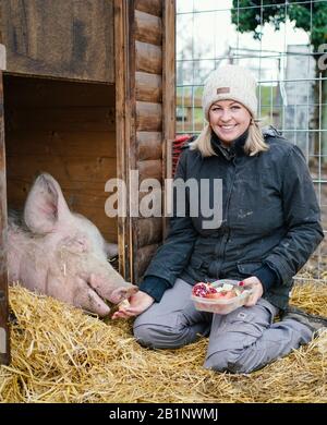 Würmer, Deutschland. Februar 2020. Vanessa Faß, Betreiberin einer privaten Gnadenfarm, füttert Mastschwein 'Lotta' mit Obst auf dem Gelände der Gnadenfarm. Das Tier war im vergangenen Jahr vor dem Drittliga-Derby zwischen Kaiserslautern und Mannheim mit Fußballslogans auf einem Mannheimer Sportplatz verschmiert worden. Am Samstag (29.02.) findet das Rückspiel im Mannheimer Carl-Benz-Stadion statt. (Zu dpa-KORR: "Kein Platz für Hass": FCK vor explosivem Südwest-Derby in Mannheim") Credit: Uwe Anspach / dpa / Alamy Live News Stockfoto