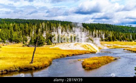 Dampf aus dem Riverside Geyser am Firehole River im oberen Geyser-Becken entlang des Continental Divide Trail im Yellowstone National Park Stockfoto