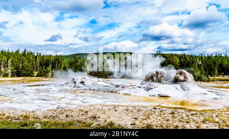 Dampf aus dem Grand Geyser im oberen Geyser-Becken entlang des Continental Divide Trail im Yellowstone National Park, Wyoming, Vereinigte Staaten Stockfoto