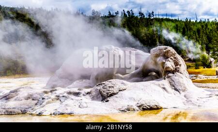 Dampf aus dem Grand Geyser im oberen Geyser-Becken entlang des Continental Divide Trail im Yellowstone National Park, Wyoming, Vereinigte Staaten Stockfoto