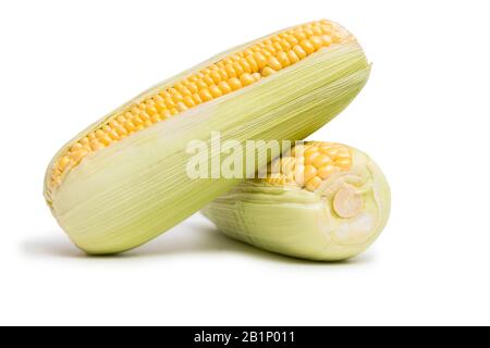 Zwei Ohren mit süßem Mais isoliert auf weißem Hintergrund. Stockfoto
