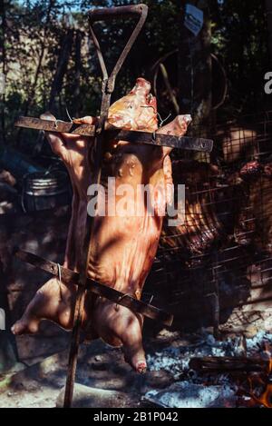 Traditionelles Mutterschwein auf dem Holzkohlegrill gekocht. Das kleine Schwein wird bei offenem Feuer ganz geröstet. Organisches Schwein auf dem Spieß. Stockfoto