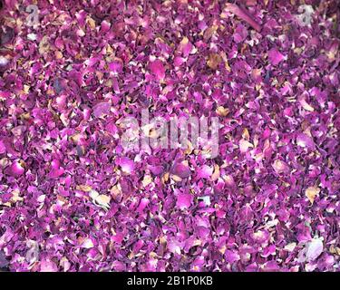 Getrocknete Rosenblüten zum Verkauf auf dem Carmel Markt (Shuk HaCarmel), dem größten Markt in Tel Aviv, Israel Stockfoto