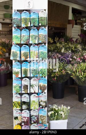 Pflanzen Sie Samen zum Verkauf in einem Blumenladen in Carmel Market (Shuk HaCarmel), dem größten Markt in Tel Aviv, Israel Stockfoto