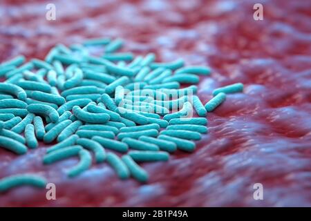 3 D Abbildung von Bakterien in der Mikroflora. Blaues Bakterium auf einer roten Oberfläche. Nahaufnahme. Stockfoto