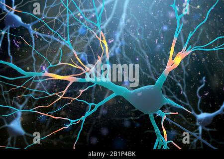 3D-Darstellung der Struktur menschlicher Nervenzellen. EINE hohe Auflösung. Stockfoto