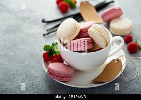 Vanille- und Himbeermakarone in einem Teekup Stockfoto