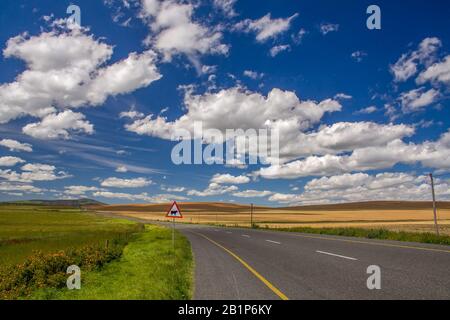 Leere Landstraße durch Ackerland mit Wolken und blauem Himmel in Südafrika Stockfoto